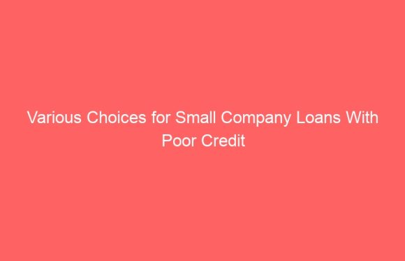 Various Choices for Small Company Loans With Poor Credit
