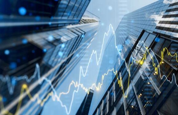 Accelerate Expansion with Professional Business Growth Support