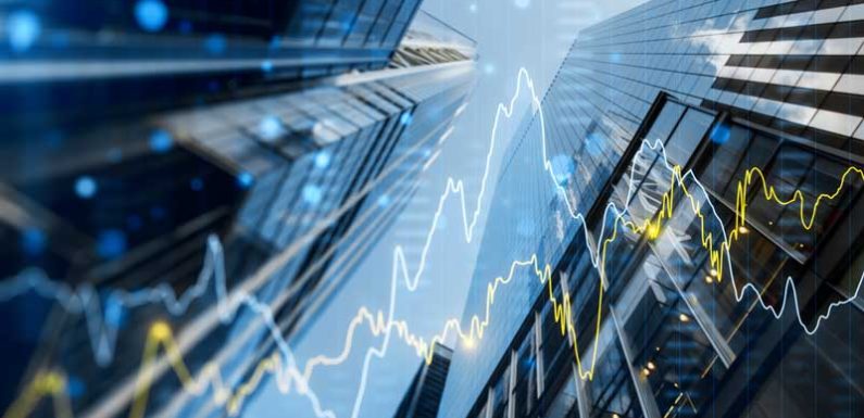 Accelerate Expansion with Professional Business Growth Support