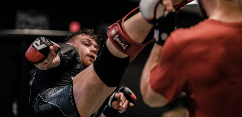 UFC and Combat Sports Streaming on Sportsurge: What Fighters’ Fans Should Know