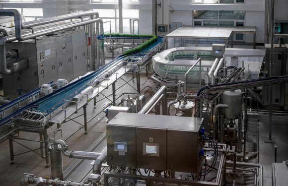 Industrial Employment Trends: Skills, Roles, and Opportunities in a Changing Workplace