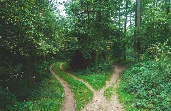 Nicholas Bonito and the Role of Continuous Learning in Professional Growth
