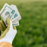 General Mills earnings