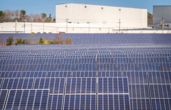 Solar Industries shares fall: Quick analysis of market impact