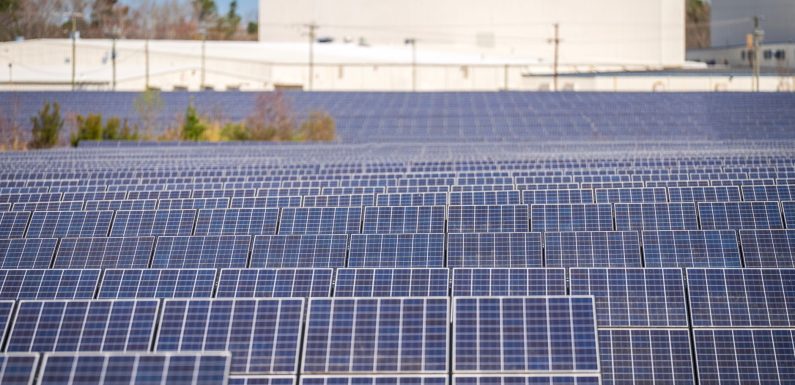 Solar Industries shares fall: Quick analysis of market impact
