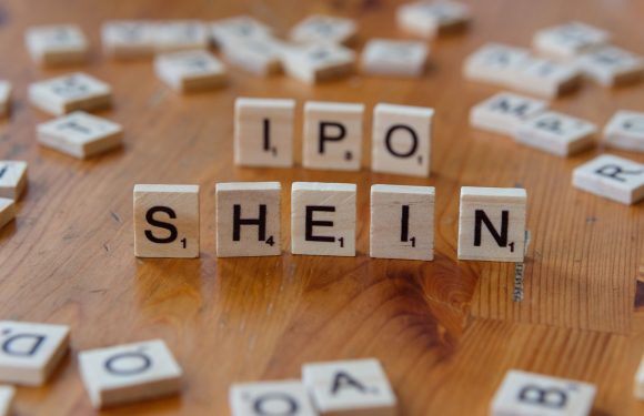 Sonaselection India IPO: Clear Insights on Flat Listing Today