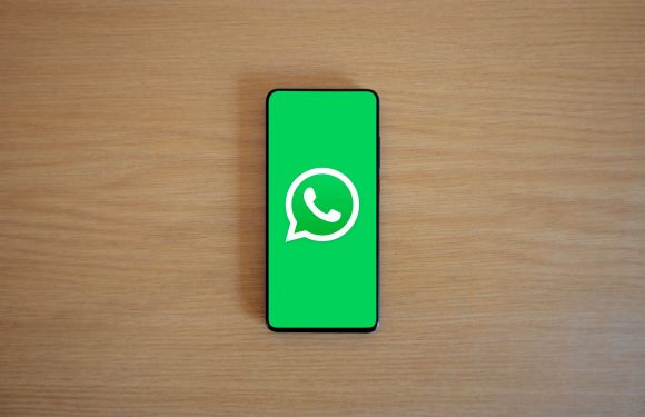 WhatsApp channel for PF updates: Easy way to stay informed