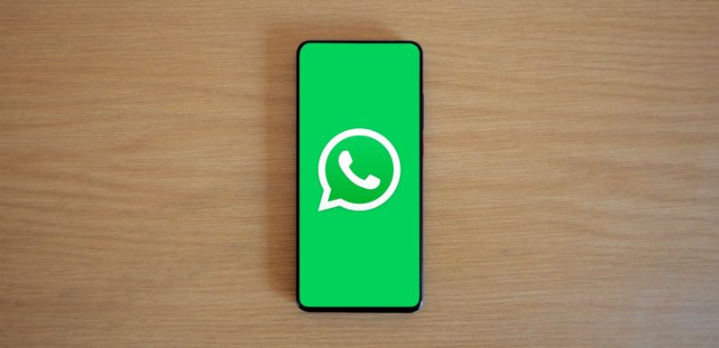 WhatsApp channel for PF updates: Easy way to stay informed