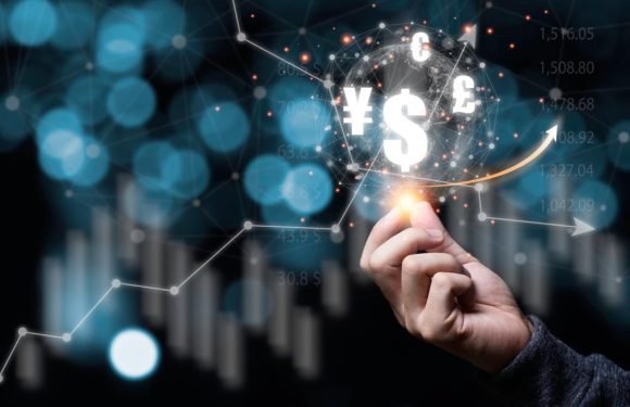 Understanding the Value of Financial Advice: Fees, Services, and Client Expectations
