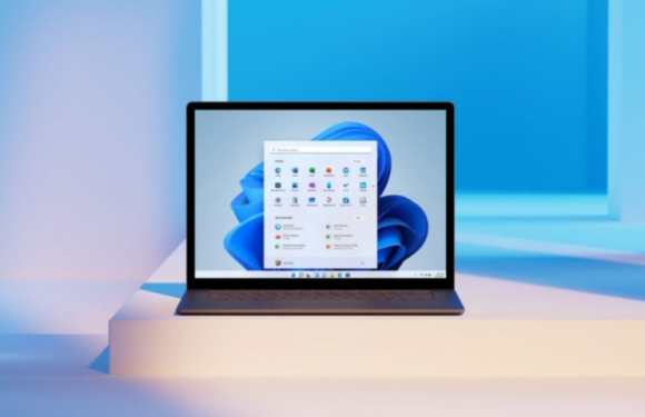 How Windows 10 Home Supports a Convenient Digital Lifestyle