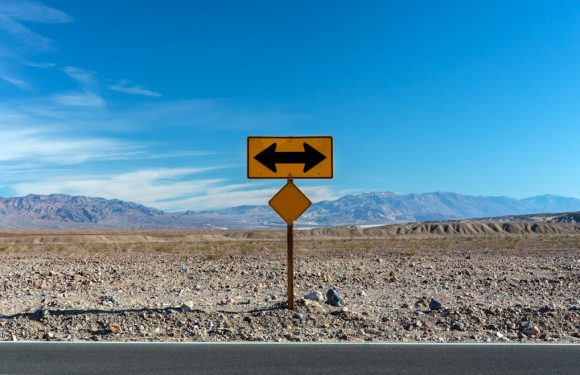 Leonard Gross and the Influence of Strategic Professional Thinking