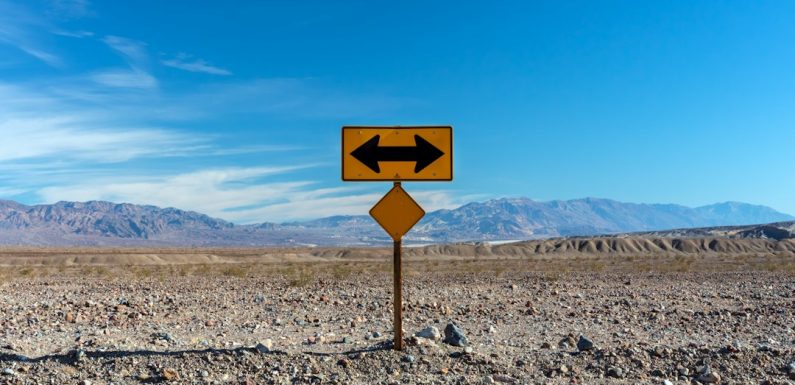 Leonard Gross and the Influence of Strategic Professional Thinking