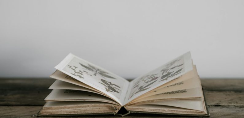 Lifelong Learning: The Inspiring Journey of Ali Kain