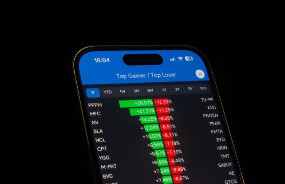 Smallcap stocks gains: What are the proven winners this week?
