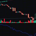 TCS shares rally