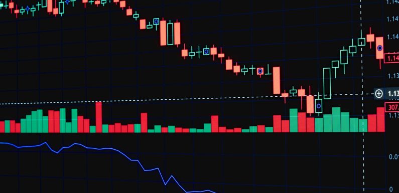 TCS shares rally: Proven strategies for smart investors
